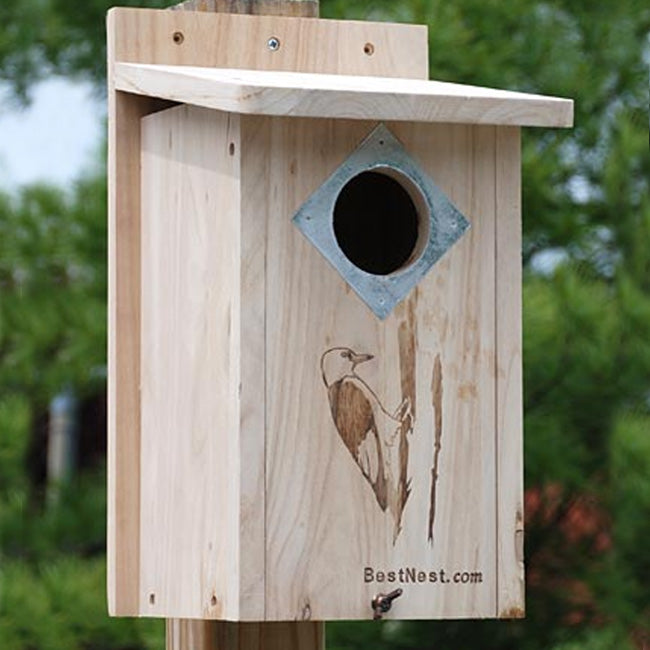 BestNest Classic Three-Woodpecker HouseBestNest Classic Three-Woodpecker HouseBestNest Classic Three-Woodpecker HouseBestNest Classic Three-Woodpecker House Wild Birds > Bird Houses > Woodpecker / Flicker Houses  BestNest Classic Three-Woodpecker House