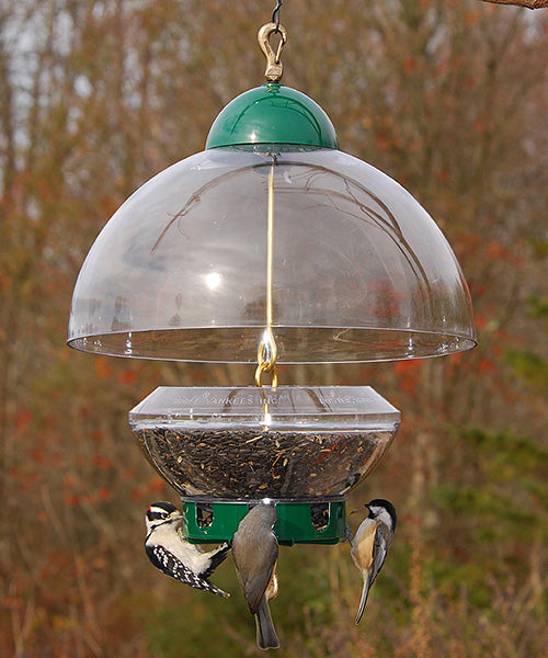 Bird Feeders