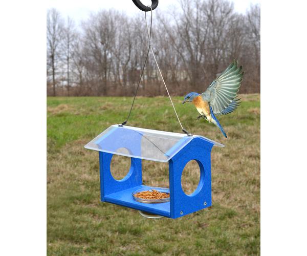 Bluebird Feeders