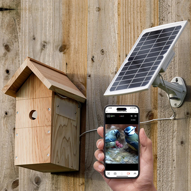 Bird Cams and Monitors