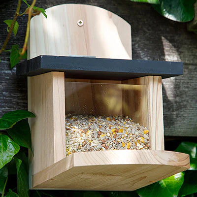 Squirrel Feeders and Squirrel Houses