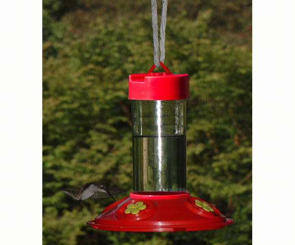 hummingbird feeder