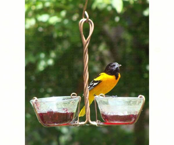 Fruit and Jelly Bird Feeders