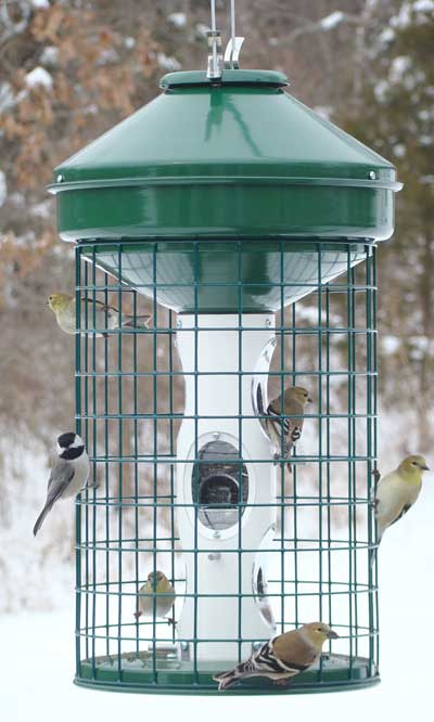 Caged Bird Feeders