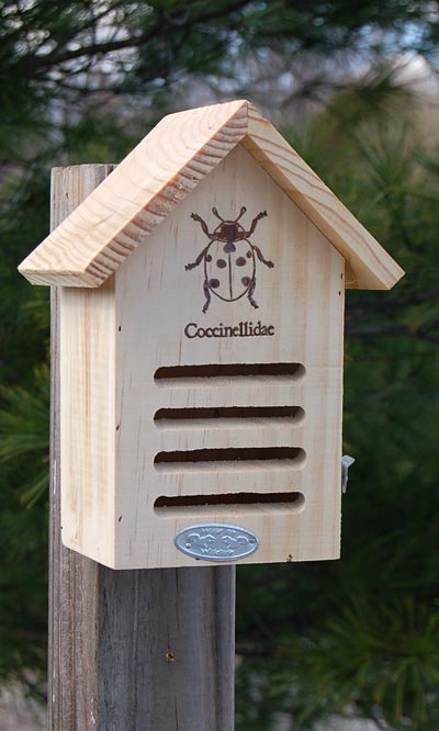 Esschert Design Basic Ladybug House