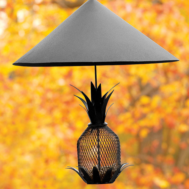 Achla Hanging Squirrel Baffle, Black, 18.25" dia.
