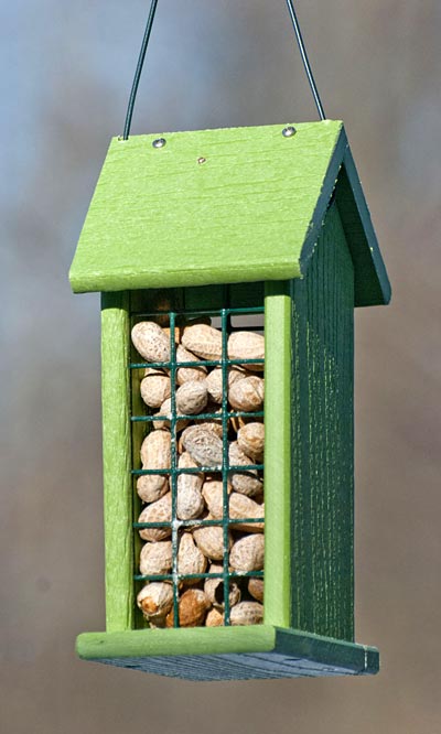 Audubon Going Green Peanut Feeder