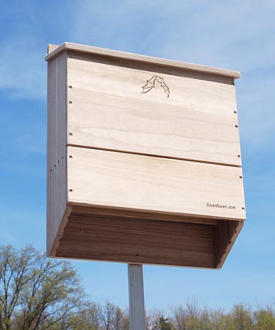 BestNest Triple-Celled Bat House, 250 bats