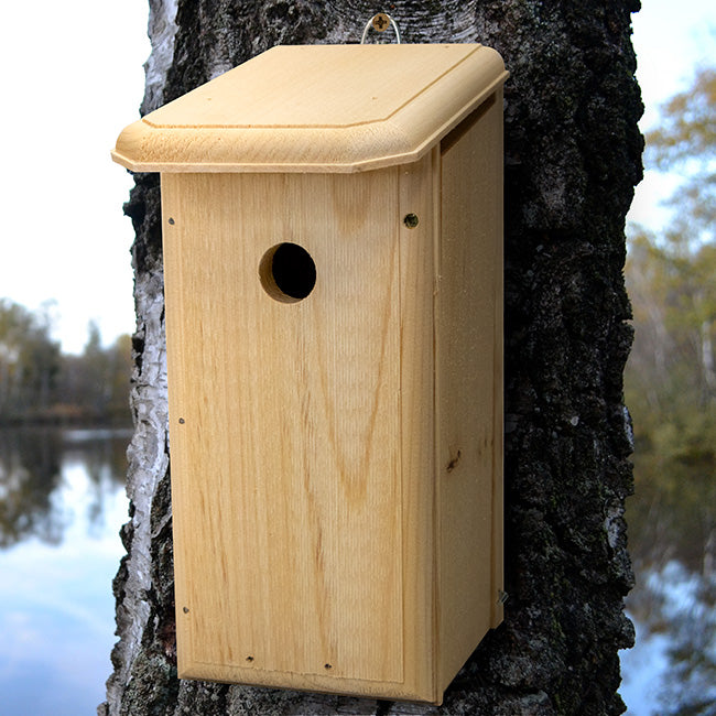 Coveside Chickadee House