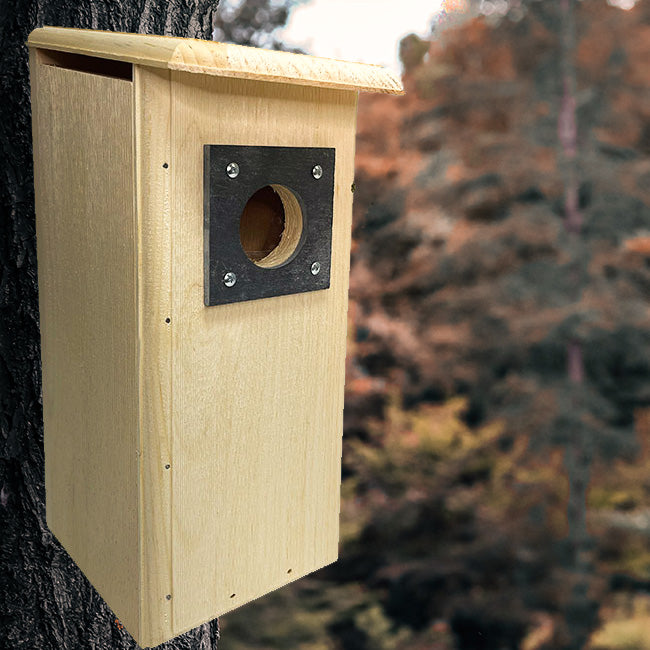 Coveside Three Woodpecker House