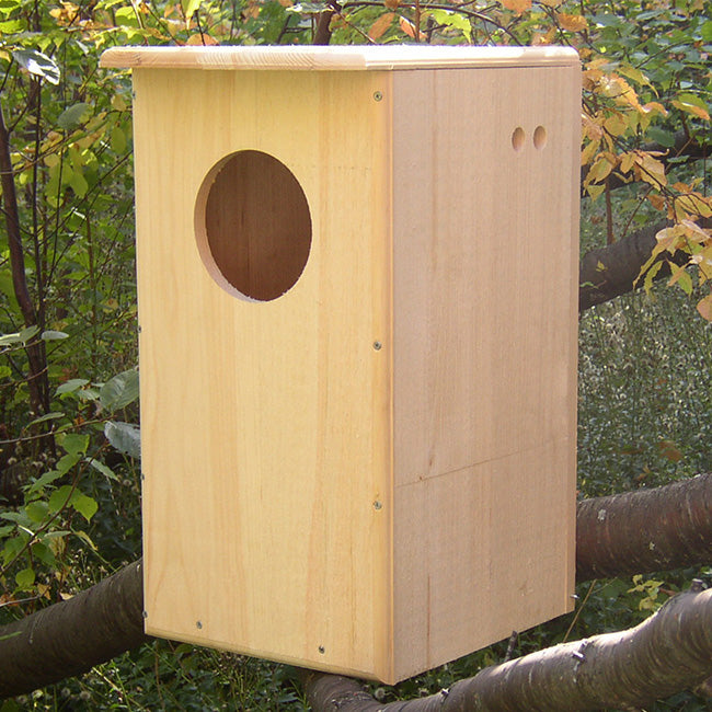 Coveside Barred Owl House