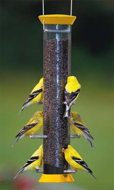 Droll Yankees New Generation Finch Flocker, 15" Yellow