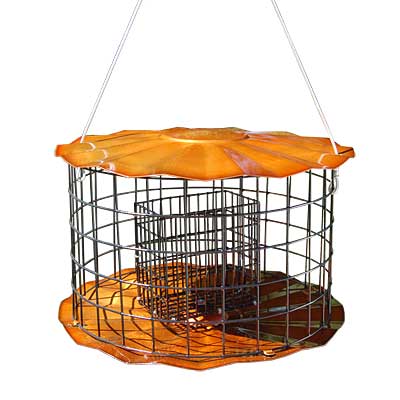 Erva Caged Double Suet Feeder, Copper