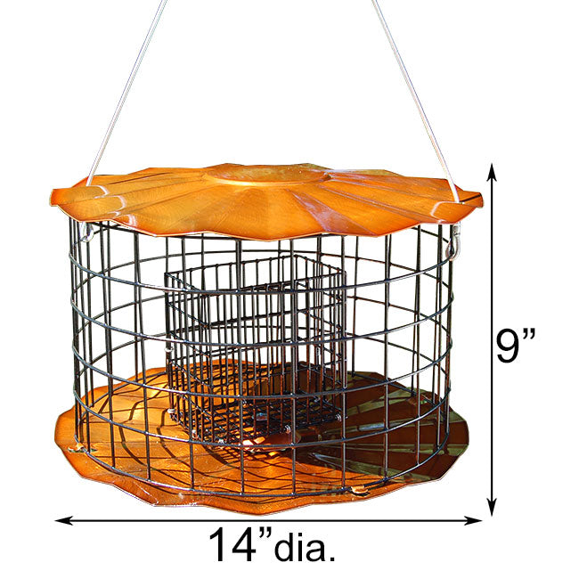 Erva Caged Double Suet Feeder, Copper