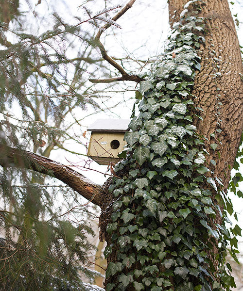 Esschert Design Squirrel House
