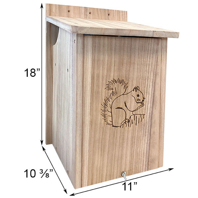 Squirrel House by Prime Retreat