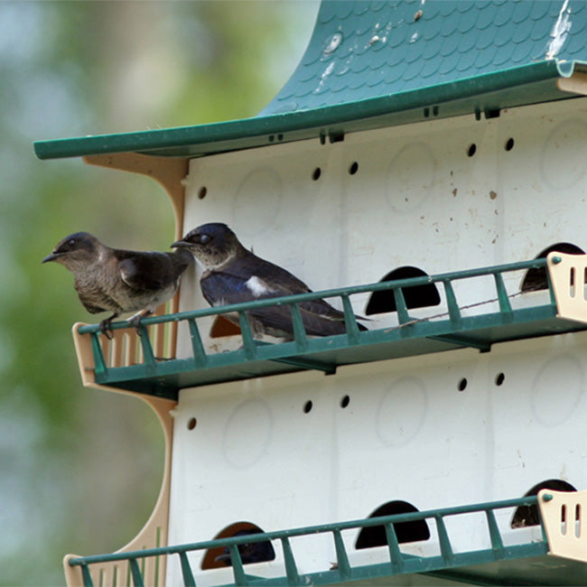 S&K Dual Purple Martin Houses, Expandable Option, 24 Rooms