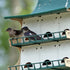 S&K Dual Purple Martin Houses, Expandable Option, 24 Rooms
