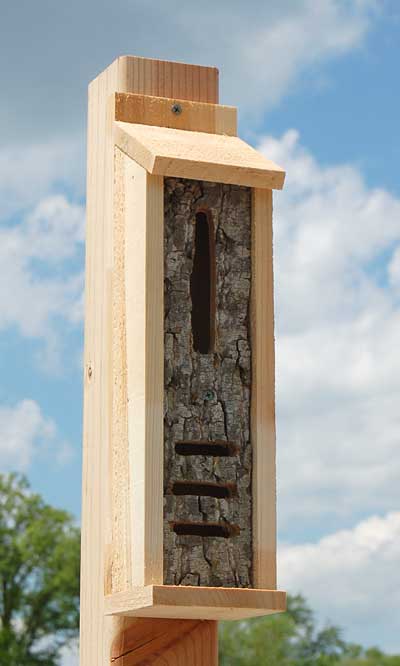 Uncle Dunkel's Bark Clad Butterfly or Ladybug House