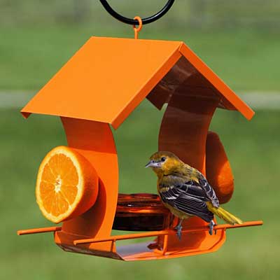 Woodlink Metal Six Station Oriole Feeder