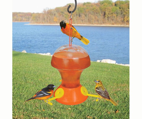 Oriole bird feeder