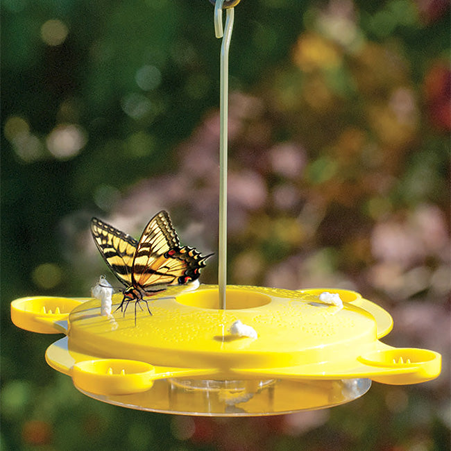 Audubon Classic Butterfly Feeder