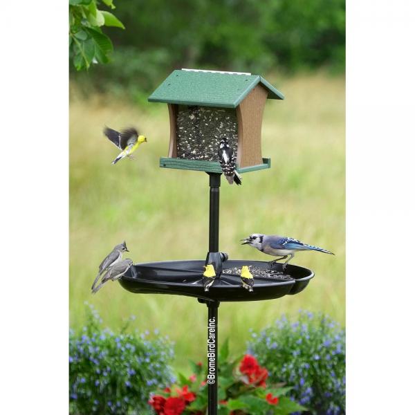 Seed Buster Tray Feeder and Seed Catcher