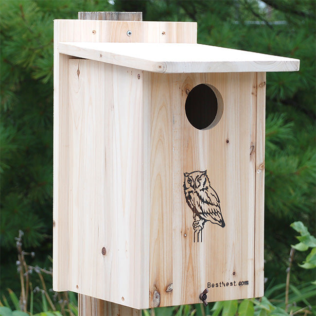 BestNest Premium Screech Owl / Kestrel House
