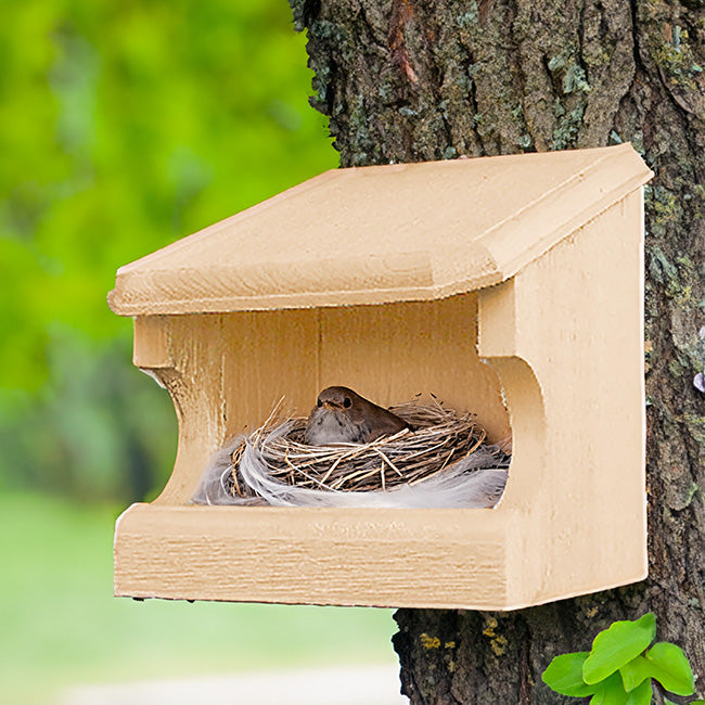 Coveside Open Nest Box