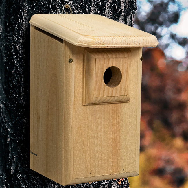 Coveside Western Bluebird House with Observation Window
