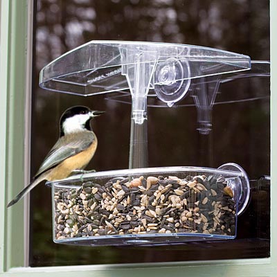 Droll Yankees Observer Window Bird Feeder