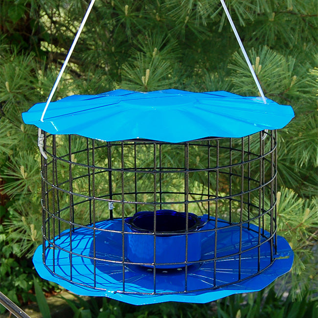 Erva Caged Bluebird Feeder, Blue