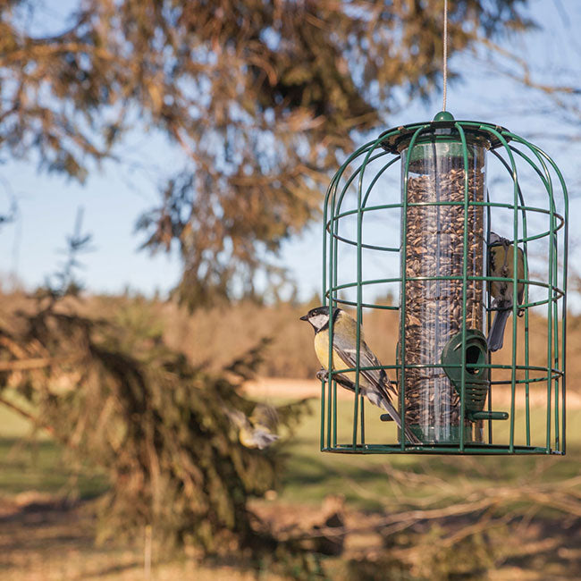 Esschert Design Caged Tube Bird Feeder.