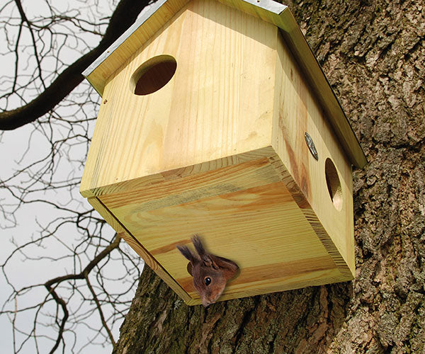Esschert Design Squirrel House