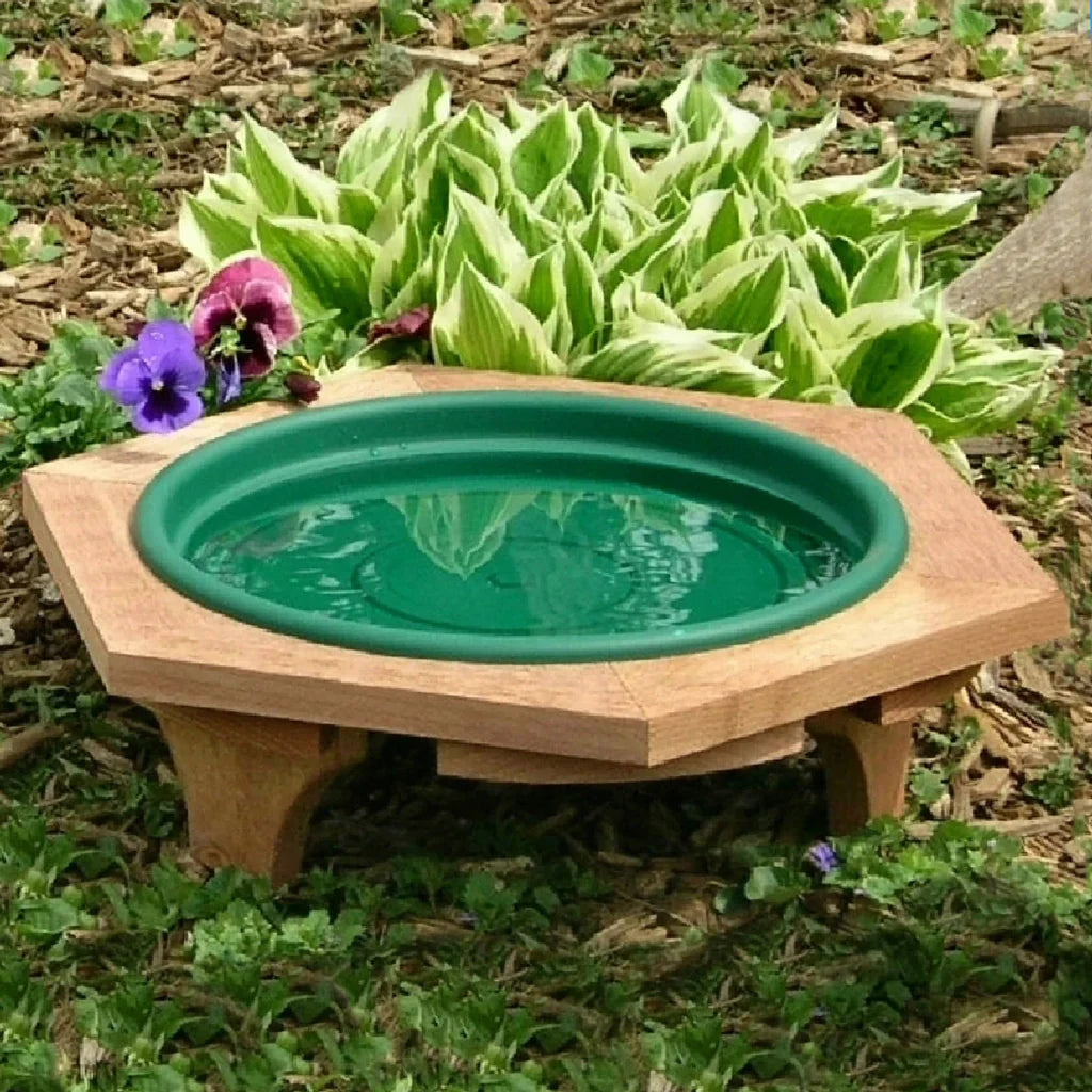 Songbird Essentials Mini Garden Bird Bath - Green