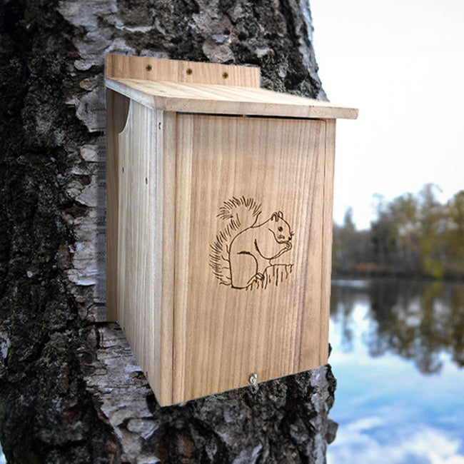 Squirrel House by Prime Retreat