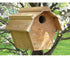 All Purpose Carolina Wren House