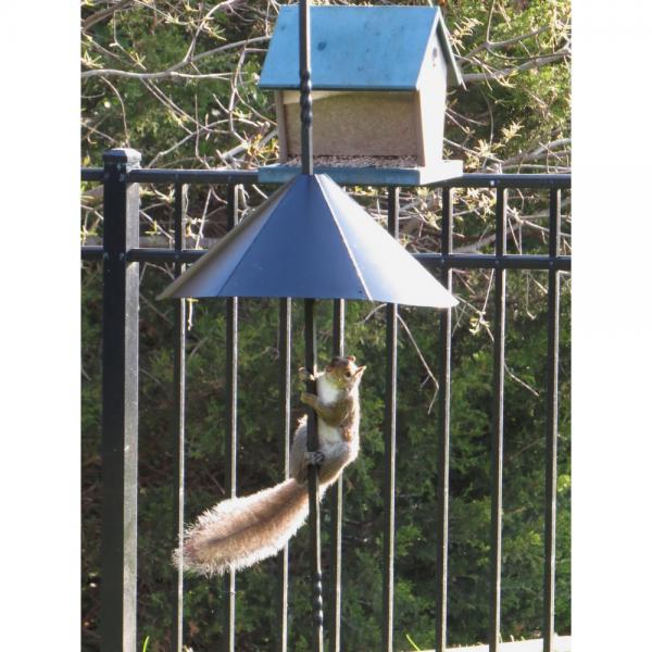 Squirrel Defeater Super Snap-On Pole Baffle