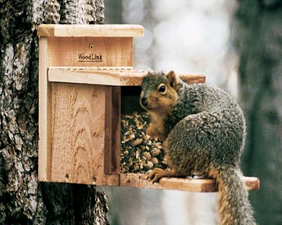 Woodlink Squirrel Feeder